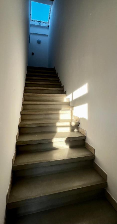 Les Demoiselles De La Tour ! Apartamento Carcasona